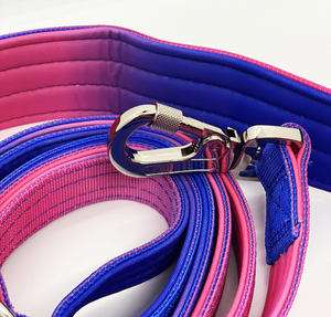 QUICK RELEASE COLLAR AND LEASH