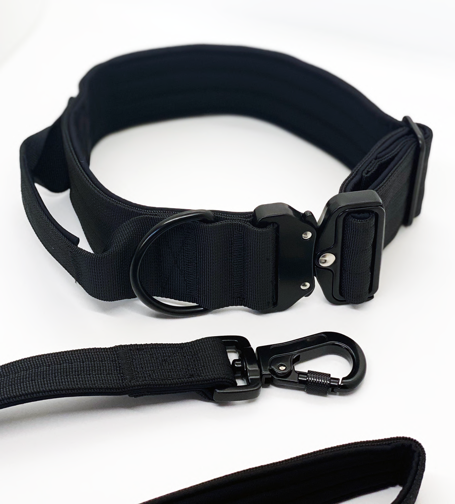 QUICK RELEASE COLLAR AND LEASH