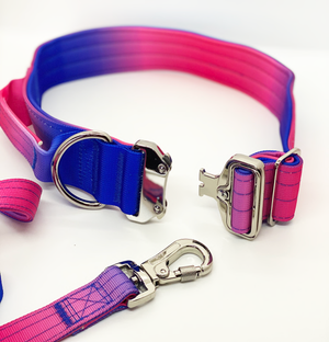 QUICK RELEASE COLLAR AND LEASH