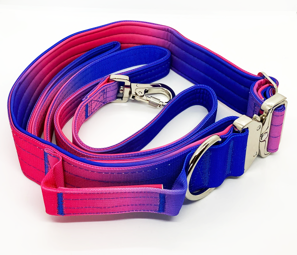 QUICK RELEASE COLLAR AND LEASH