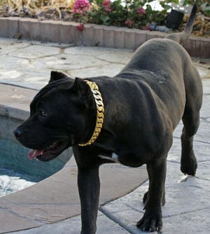 
                
                    Load image into Gallery viewer, 24 MM GOLD ROLLS ROYCE CUBAN DOG COLLAR
                
            