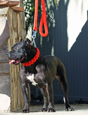 RED SHOWTIME COLLAR AND LEASH SET