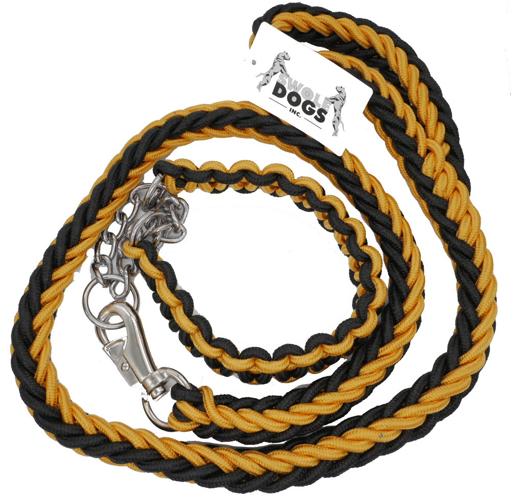 GOLD & BLACK SHOWTIME COLLAR AND LEASH SET