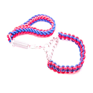 
                
                    Load image into Gallery viewer, BLUE &amp;amp; PINK SHORT LEAD &amp;amp; COLLAR COMBO
                
            